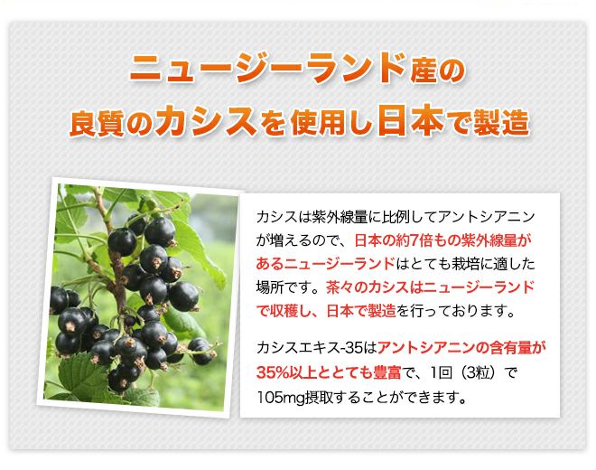  茶々 カシスエキス-35