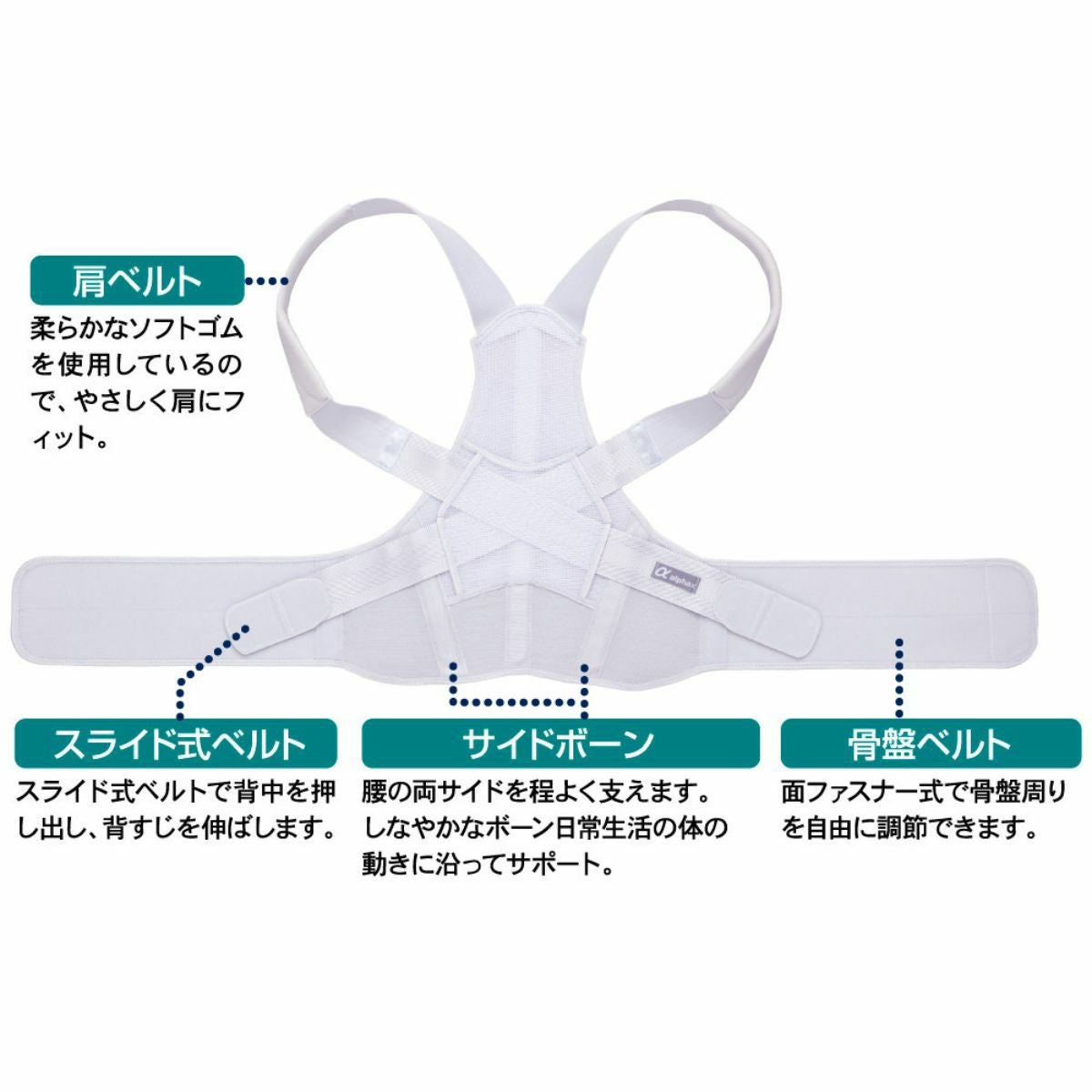 お医者さんのがっちり背すじベルト