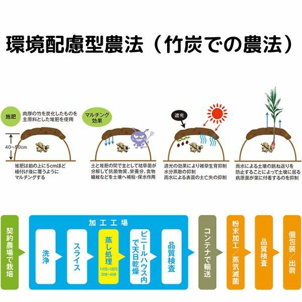 蒸し金時生姜 粉末 100g 日本製 末