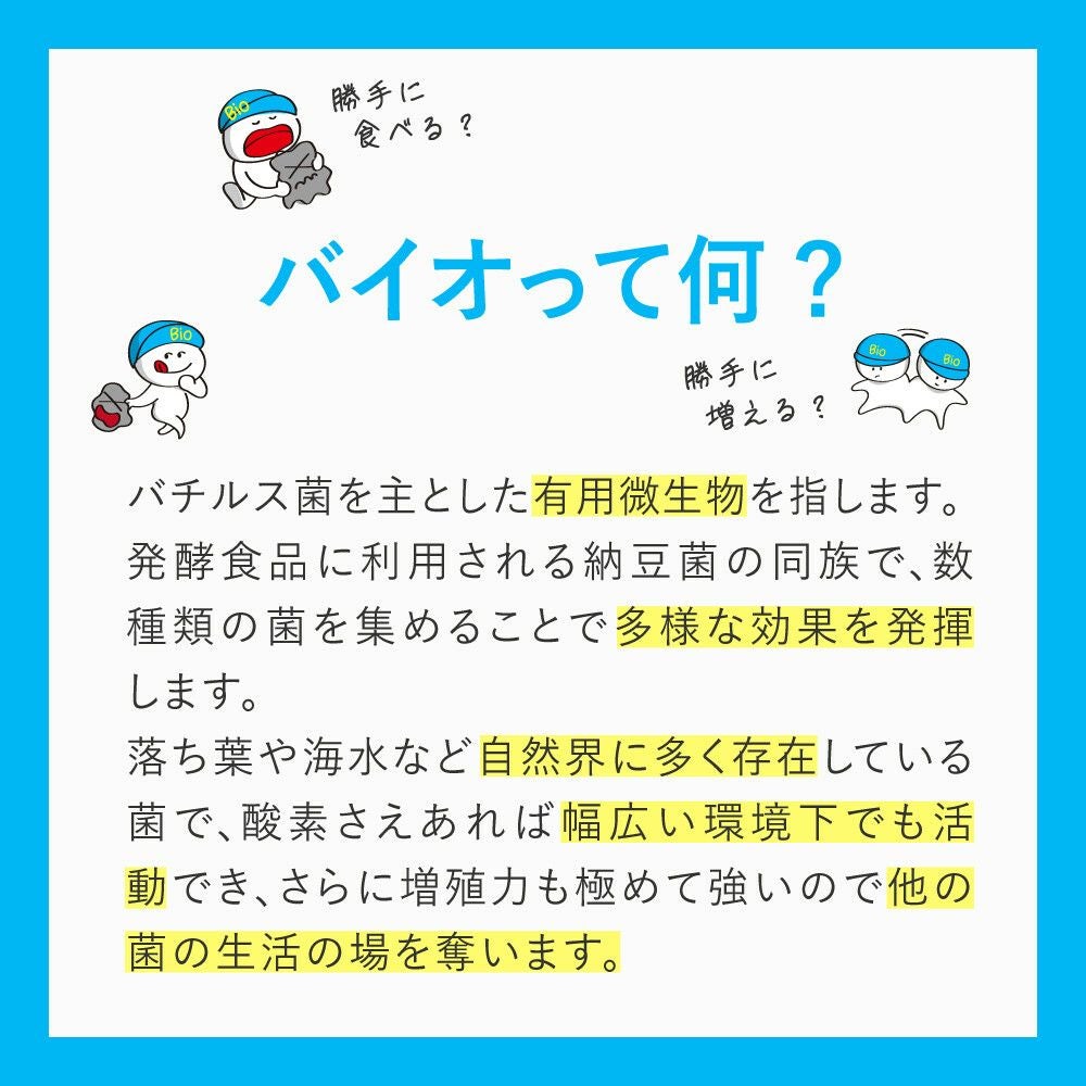ズボラ上等 シンクの排水管用 (5錠) 日本製