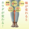  ハピラボ 体幹学べるフットサポーター 日本製