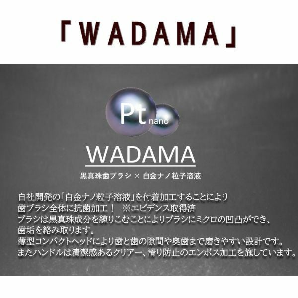 WADAMA　Ptnano黒真珠歯ブラシ 　レッド・ブルー