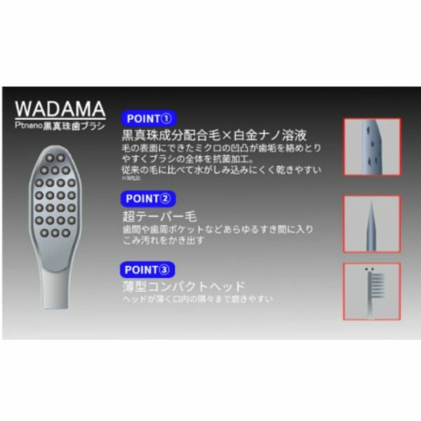 WADAMA　Ptnano黒真珠歯ブラシ 　レッド・ブルー