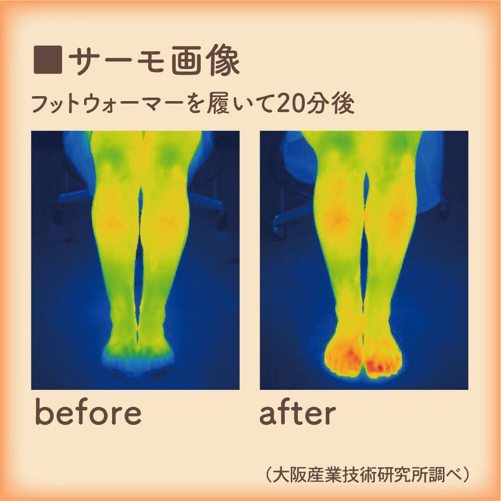 極暖 ちいさなこたつ（足用あったかクッション フットウォーマー 足枕）