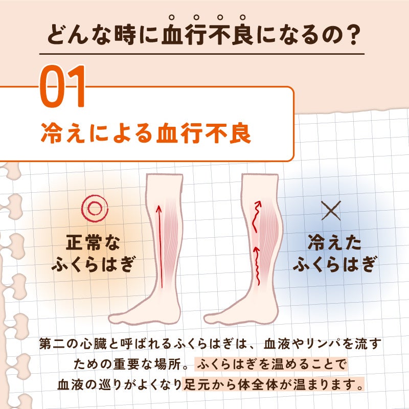 エナジーク活性ふくらはぎサポーター　ひらめちゃん